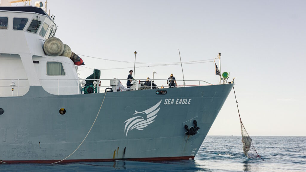 Sea Shepherd and Italian Authorities Seize 19km of Illegal Nets, Free Four Endangered Devil Rays